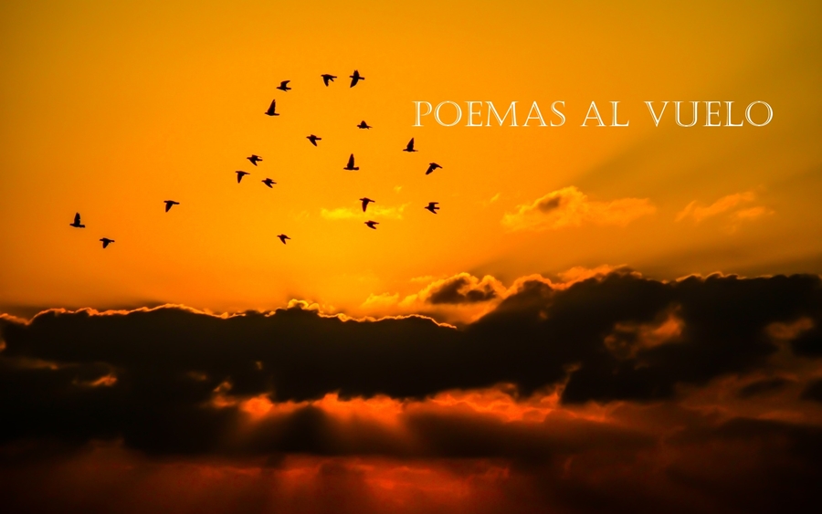 al vuelo